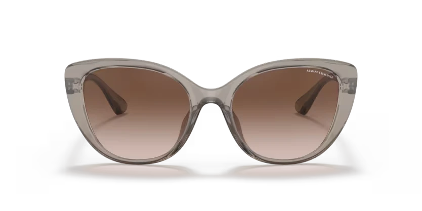 Armani Exchange 4111SU 824013 54