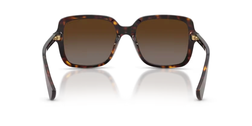 Ralph 5333U 5003T5 56