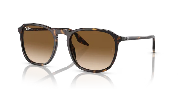 Ray Ban 2203 902/51 52