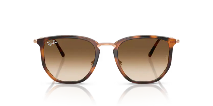 Ray Ban 4451 680451 50