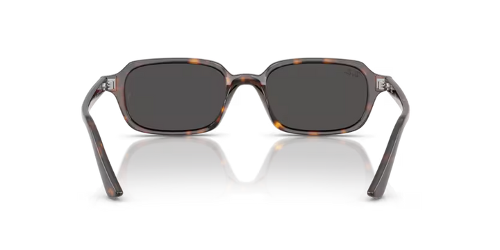 Ray Ban 4455 135987 52