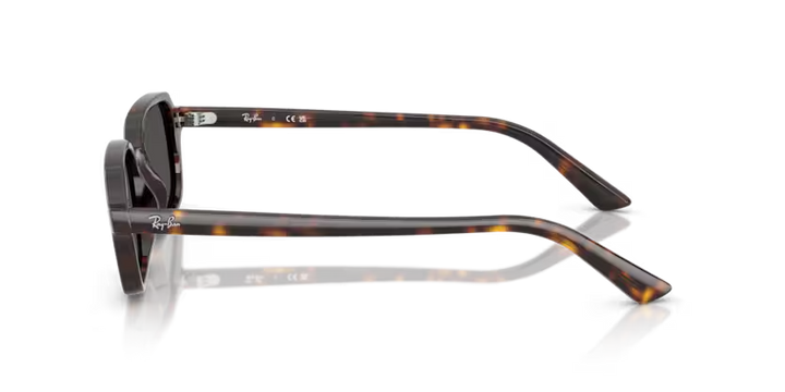 Ray Ban 4455 135987 52