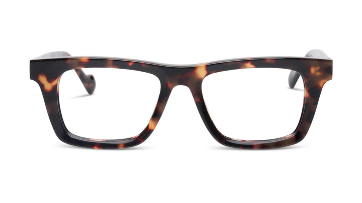 Kreuzbergkinder Blaze C2 50