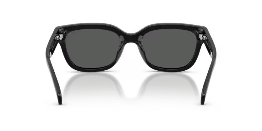Armani Exchange 4155SU 815887 54