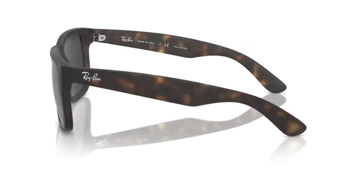 Ray Ban 4165 710/13 54