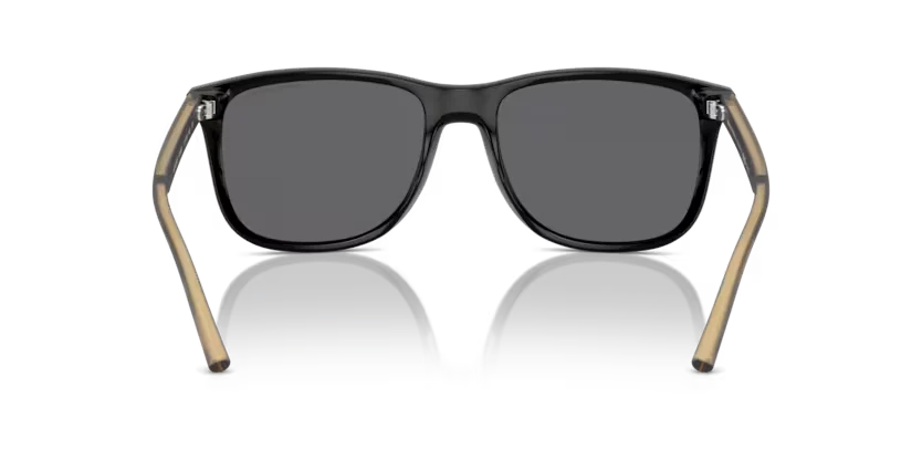 Armani Exchange 4070S 815881 57