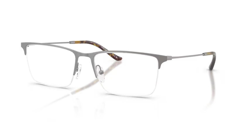 Emporio Armani 1171 3003 55