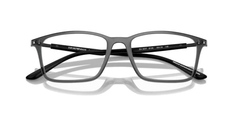 Emporio Armani 3237 6106 55