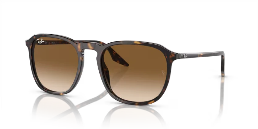 Ray Ban 2203 902/51 52