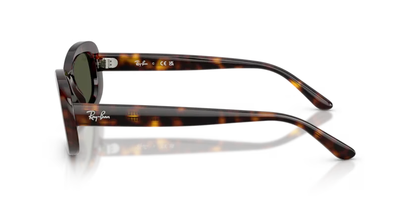 Ray Ban 2221 902/31 53