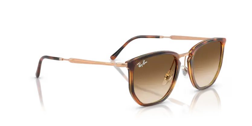 Ray Ban 4451 680451 50