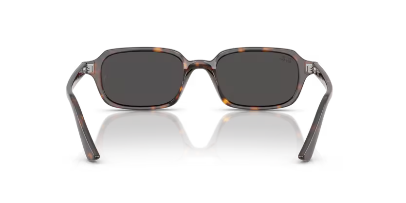 Ray Ban 4455 135987 52