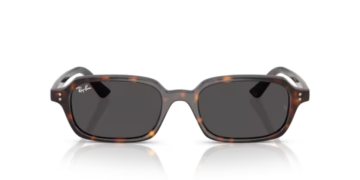 Ray Ban 4455 135987 52