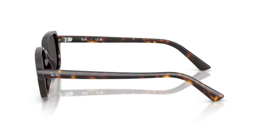 Ray Ban 4455 135987 52