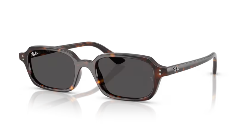 Ray Ban 4455 135987 52