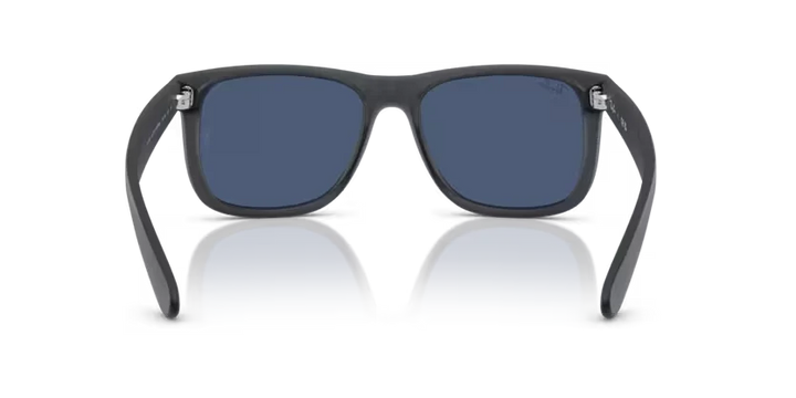 Ray Ban 4165 687380