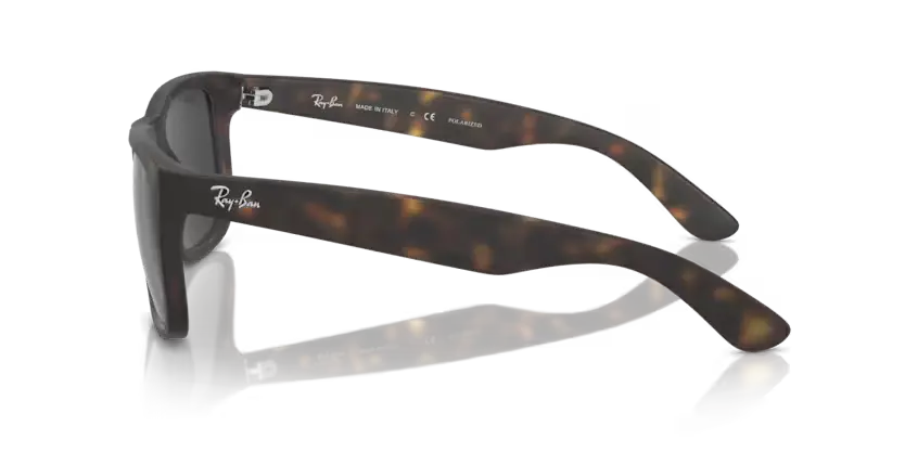 Ray Ban 4165 710/13 54